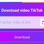 Download Video Tik Tok Terbaru dan Mudah
